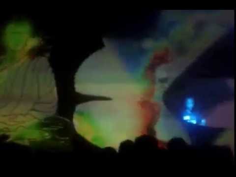 Dinamo - Rica Amaral