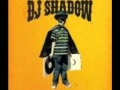 DJ Shadow Changeling