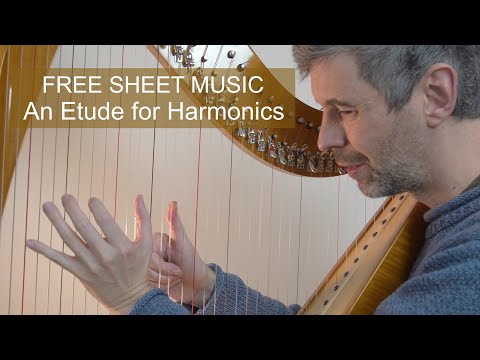 Practicing harmonics - a harmonic etude. Harp Tuesday ep. 252