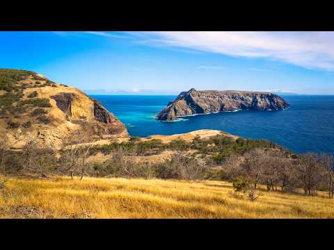 Porto Santo Incredible Coastline | Hidden Beaches & Volcanic Cliffs 🏝️