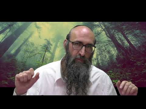 ON VA CHANGER LE MONDE 12 - Le secret des 6 tsadikim, le 6eme sens - Rav Itshak Peretz