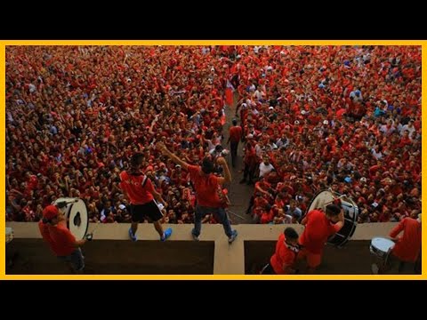 Winners 2005 : Forza Ragazzi (LIVE)