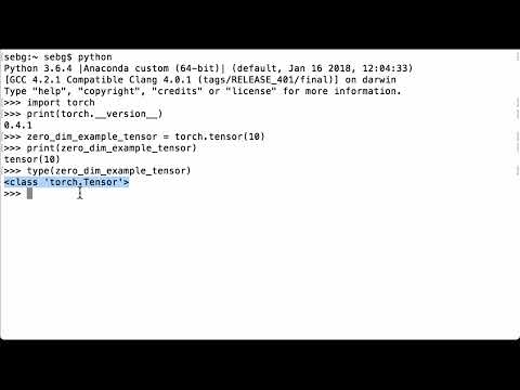 PyTorch item: Convert A 0 dim PyTorch Tensor To A Python Number - PyTorch Tutorial