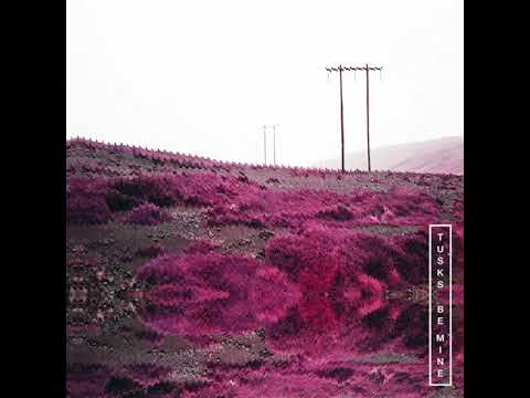 Tusks - Be Mine (Official Audio)