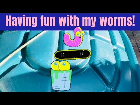 Having fun with my 6500+ worms in Gilligan!
