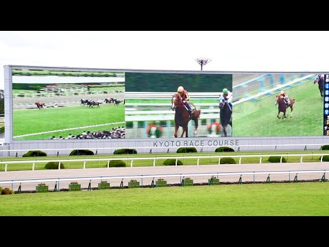 2018.10.14秋華賞G1③レース直前ムービー(アーモンドアイ牝馬三冠達成)＠京都競馬場