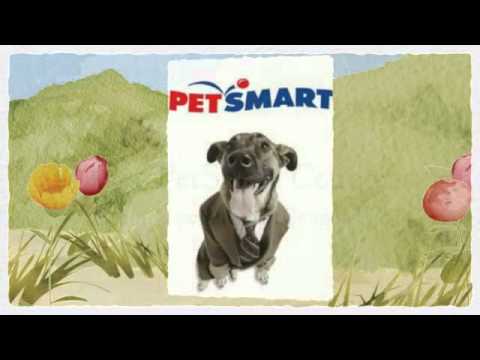 senior discount petsmart