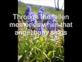 Foy Vance - Homebird + Lyrics 