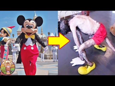 Voici Les Horreurs Que Cachent Les Employés de Disney!