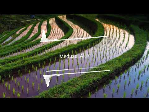 ( Best Edm ) Piece Of Your Heart | Alok remix