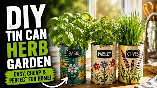 DIY Tin Can Kitchen Herb Garden on a Window Ledge