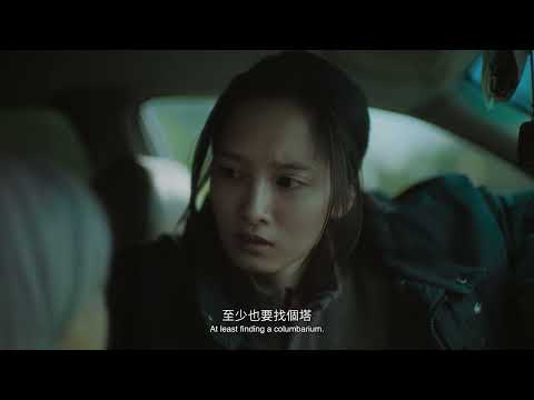 CROWN SHYNESS - 樹冠羞避 - Trailer