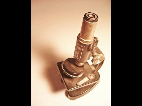 6. Woche: Magen - Einleitung