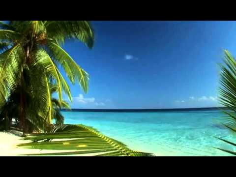 THUNDERWOLF - REBORN (KONSTANTIN SVILEV REMIX)