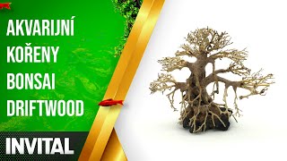 Bonsai Driftwood 40 x 30 x 33 cm No.100