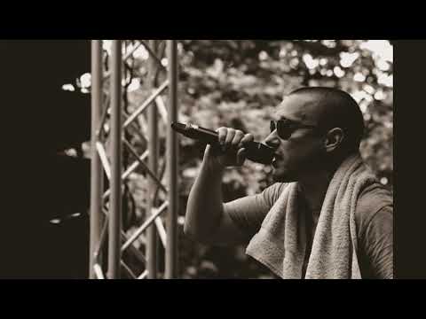 Prezident - Halb so wild (cbrG remix)