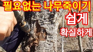 충전 전동드릴로 나무 죽이는방법 제초제 나무죽이는약