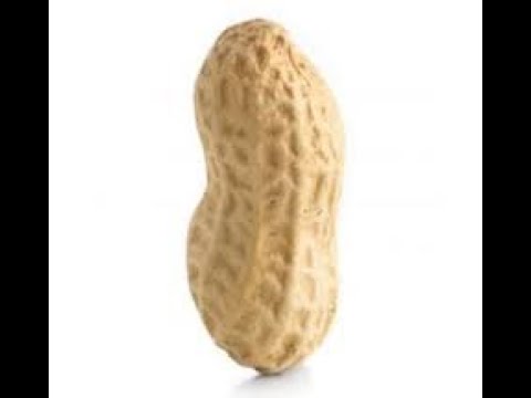 Minecraft SCP test 1: do cameras effect scp 173?