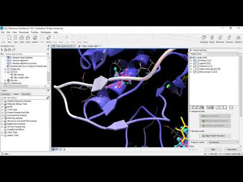 Bioinformatics: CLC Genomic Workbench (3D Protein structure)