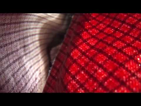 DONOTS: The Long Way Home - Tourdiary 22 (Mainz w/ Green Day)