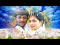 Balu And Jhanu Marrege Video