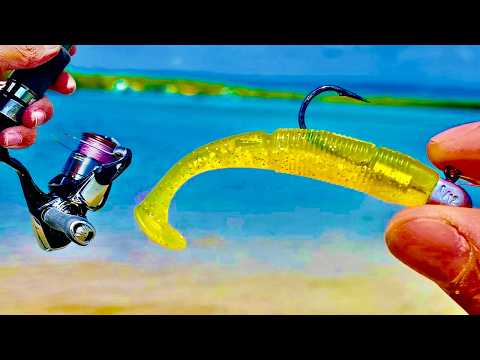 This TINY Lure Got Smashed Isntantly by BIG FISH! | GOLD COAST