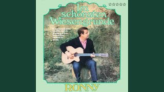 Guter Mond, du gehst so stille