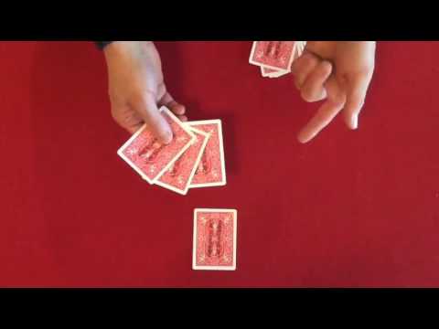 Bizarre Assembly by Fooler Doolers