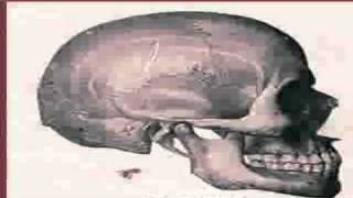 Earthling   Insomniac&#39;s balls   Peepholes