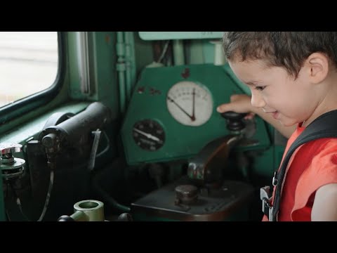 Vintage Electric Day Out