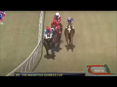 7eme journée - Race 5 - The Gatekeeper