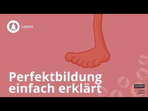 Perfektbildung einfach erklärt – Latein | Duden Learnattack