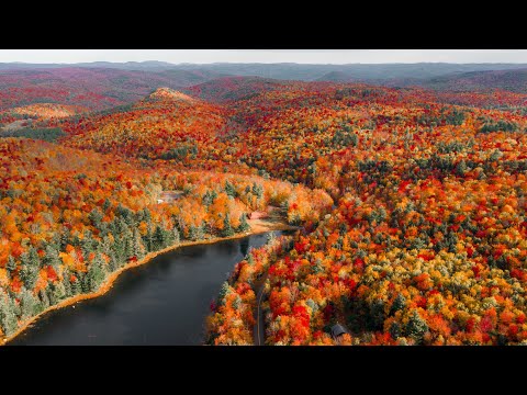 image-Can you see fall foliage in Boston?