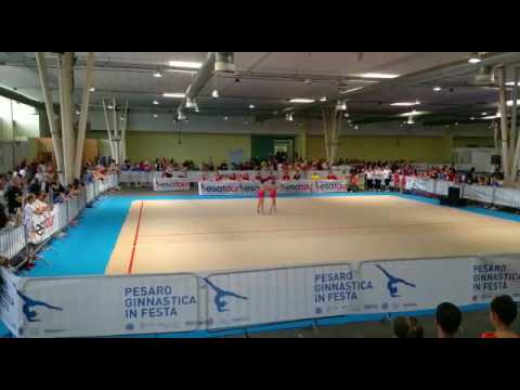 Vis Favaro - Sincrogym Silver 1a fascia - Coppia 2 S/A