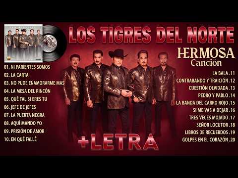LOS TIGRES DEL NORTE MIX EXITOS -  CORRIDOS Y NORTEÑAS VIEJITAS CANCIONES DE LOS TIGRES DEL NORTE
