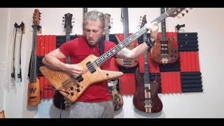 Video thumbnail for Alembic John Entwistle 8 String Spyder Bass - mini demo by GeorgePriceBass