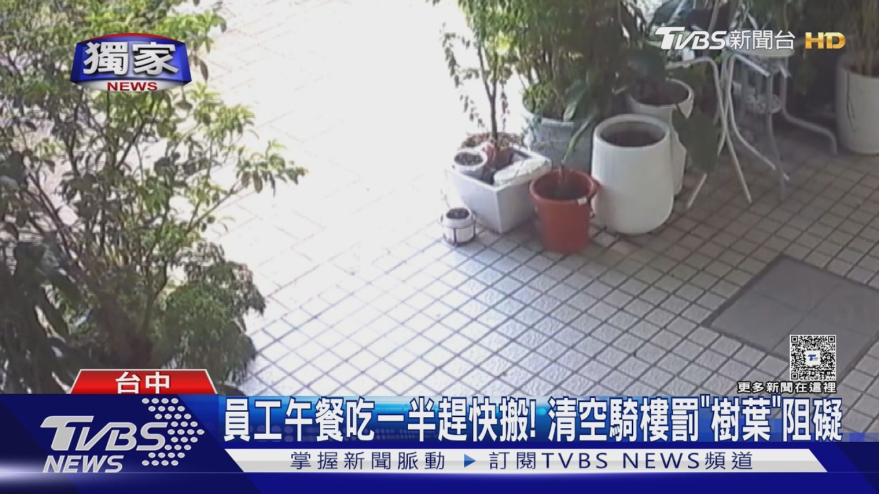 騎樓擺盆栽改善仍開罰!業者嗆:警察變檢舉人劊子手
