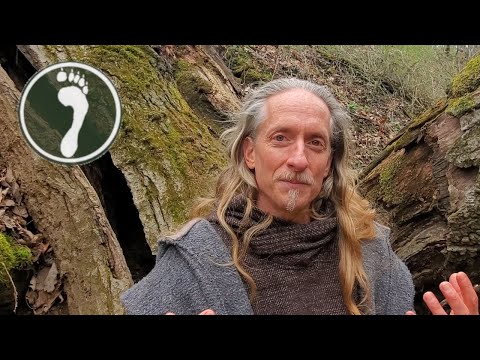 Developing Druid Level Nature Communion Part Two (final)