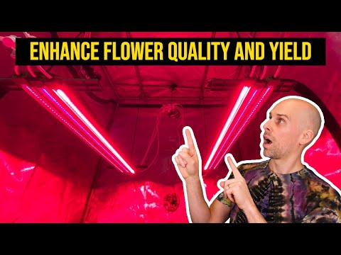 Mars Hydro UV + Deep Red + IR Supplemental LED Grow Light Overview