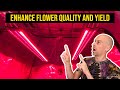 Mars Hydro UV + Deep Red + IR Supplemental LED Grow Light Overview