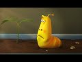 Larva Wild Red S2E41