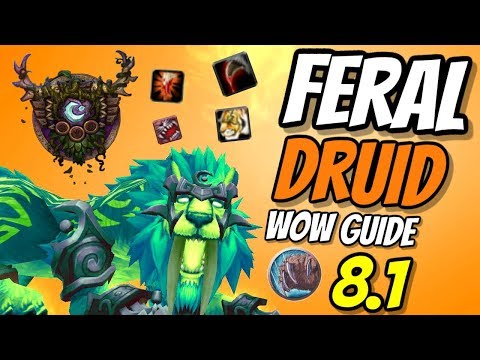 Feral Druid PvE Guide 8.1 | Talents & Rotation & Stats | World of Warcraft Battle for Azeroth