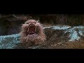Gepetto Worries About Fizzgig