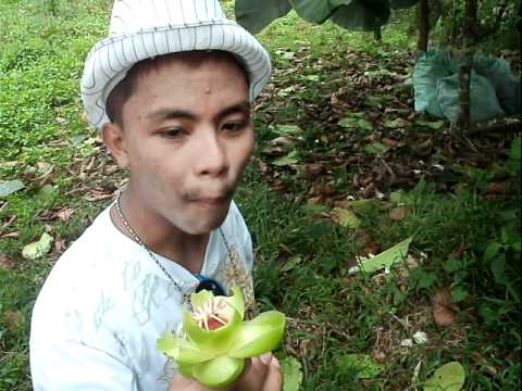Bahay pag-eehersisiyo plano para sa pagbaba ng timbang mga kababaihan Diyeta sa mawala timbang sa isang linggo sa pamamagitan ng 2 kg