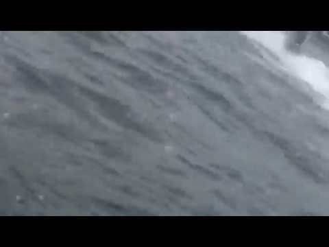 Gamagori retornando da ilha de Oshima 2016/7/17 Saimatsu e Matoba e amigos