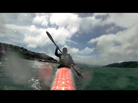 Evan's Bay, Ross and David go paddling