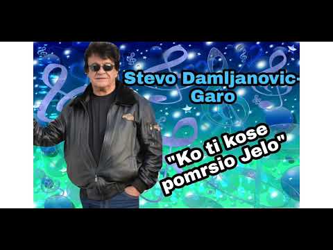Stevo Damljanović - Ko ti kose pomrsio Jelo (Audio 2005.)