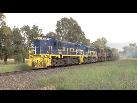 Graincorp grain train at Parkes.  Mon 01/11/10