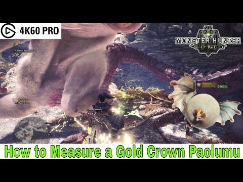 Monster Hunter: World - How to Measure a Gold Crown Paolumu Video