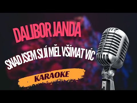 Karaoke - Dalibor Janda - 